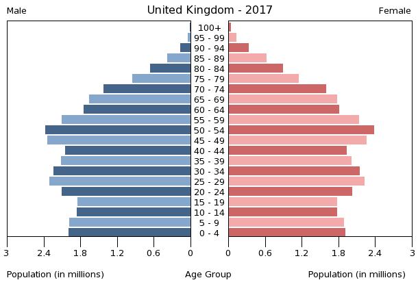 UK Population Pyramid Expedition Earth Introduction To Geography   UK Population Pyramid 